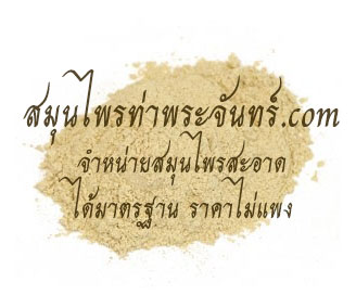 กระชายขาว / กระชายเหลืองผง 100%