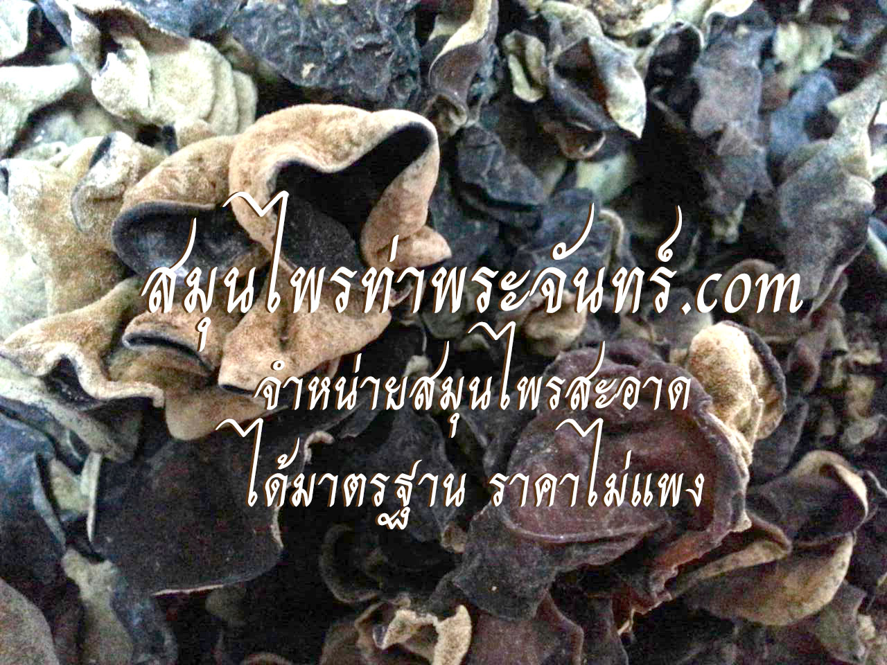 เห็ดหูหนูดำ