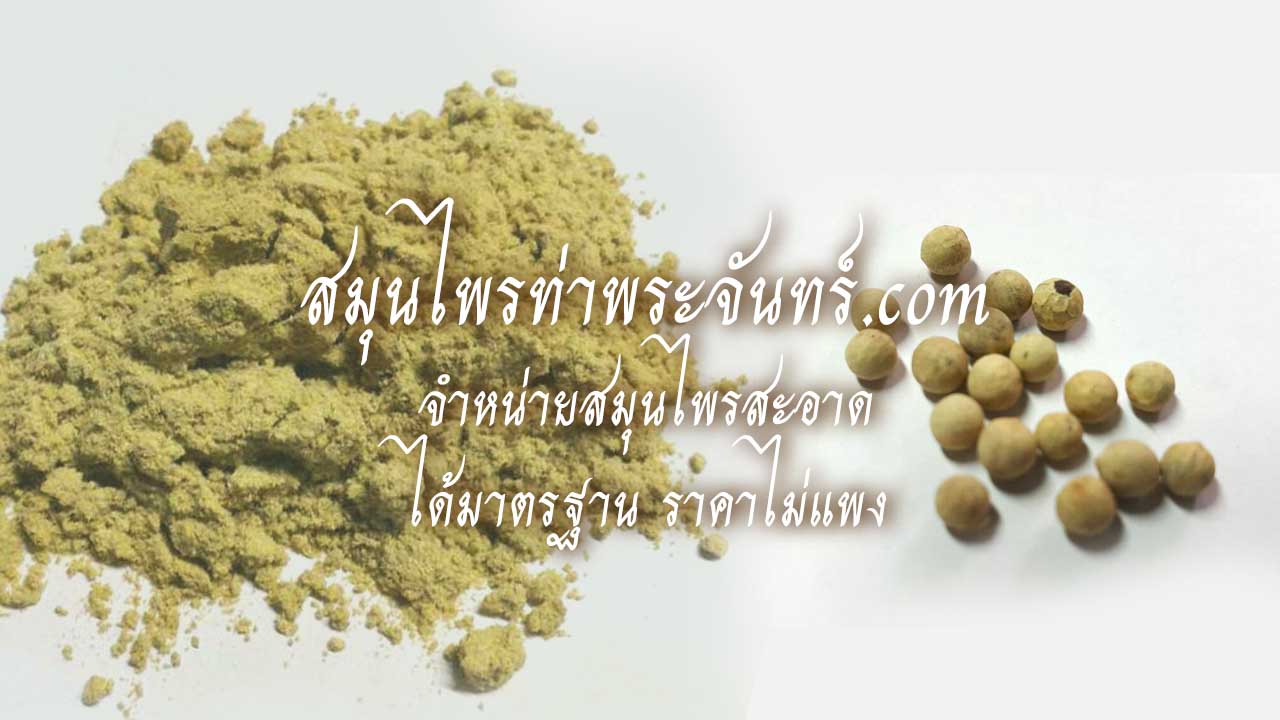 สมุนไพรพริกไทยขาว