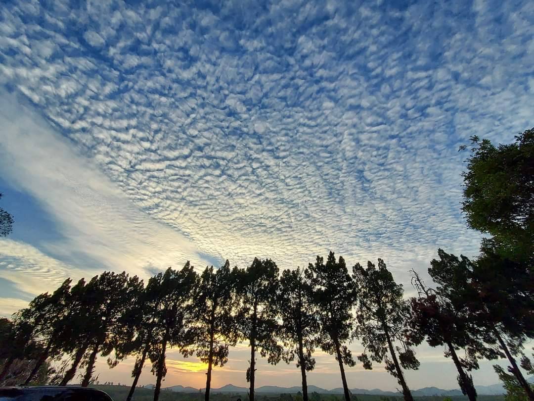 ขายที่ดินจัดสรรแบ่งขายในโครงการ แรบบิซ ฮิลส์ รีสอร์ท (Rabbiz Hill Resort) อำเภอ แก่งหางแมว, จังหวัดจันทบุรี