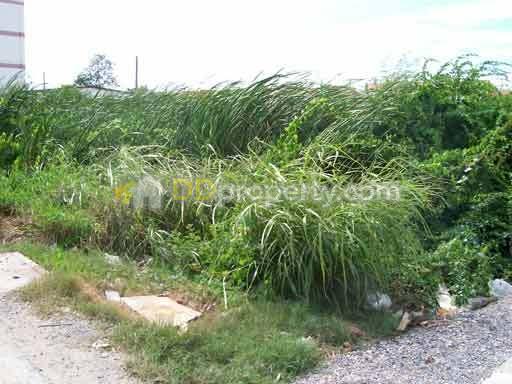 รหัสทรัพย์ 04668 ขายที่ดินถมแล้ว ลำลูกกาคลอง 4 ซอยร่วมสุข 2 ติดถนน 3 ด้าน (ที่ดินรูปสี่เหลี่ยมจัตุรัส) ขนาดพื้นที่ 3 งาน 63 ตรม