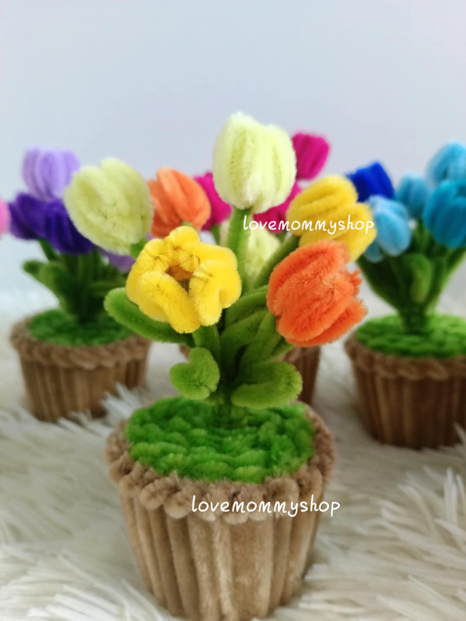 กระถางดอกทิวลิปจิ๋ว จากลวดกำมะหยี่