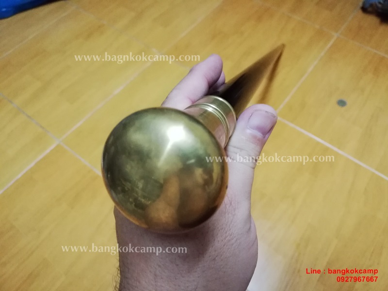 ไม้มงคลหายาก... ไม้ตะพด(ไม้งิ้วดำ) หัวทองเหลือง