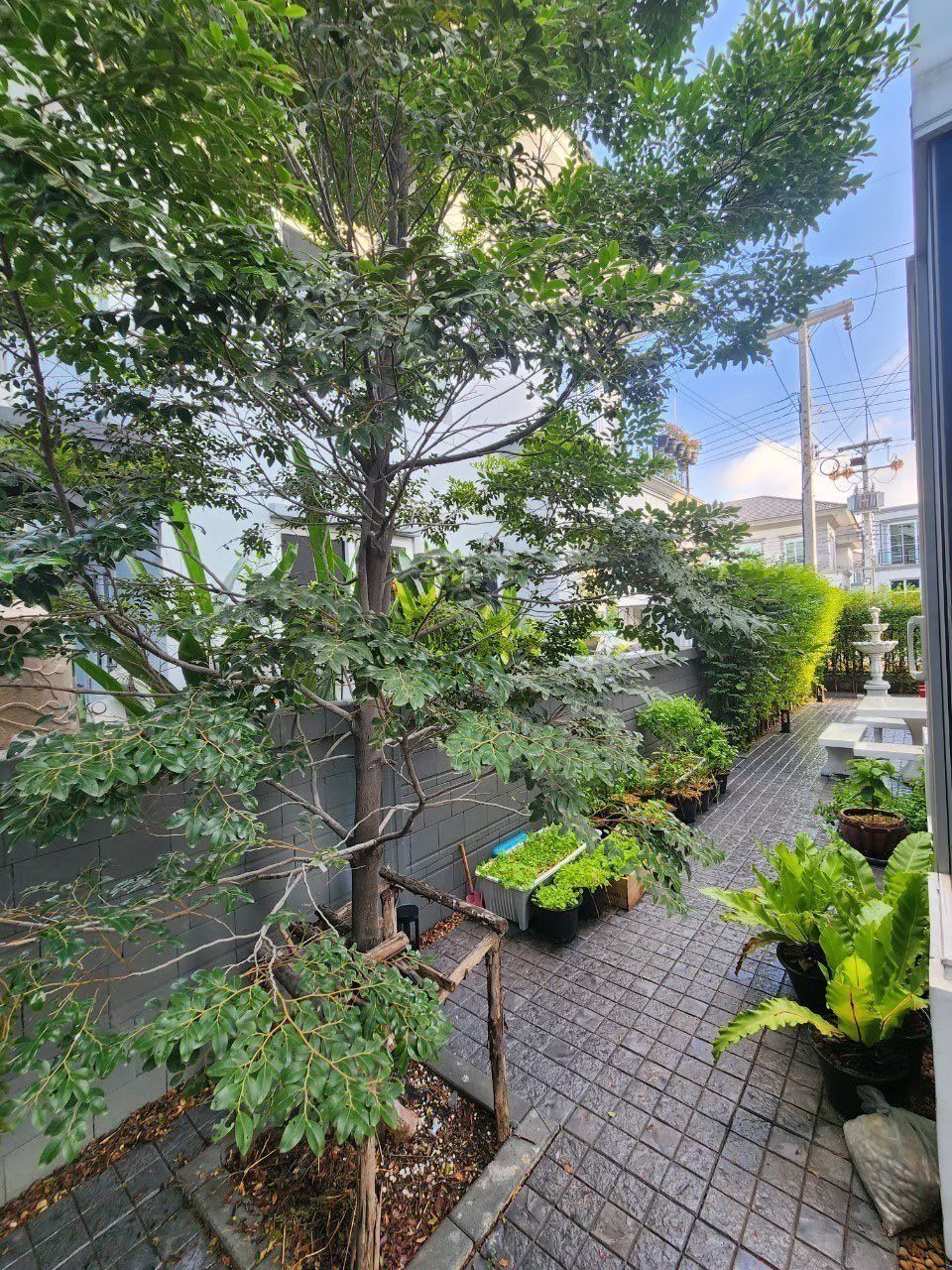 ให้เช่า บ้านเดี่ยว แกรนด์ดิโอ วิภาวดีรังสิต (Grandio Vibhavadi-Rangsit) 💰 เช่าเพียง 80,000 บาท/เดือน