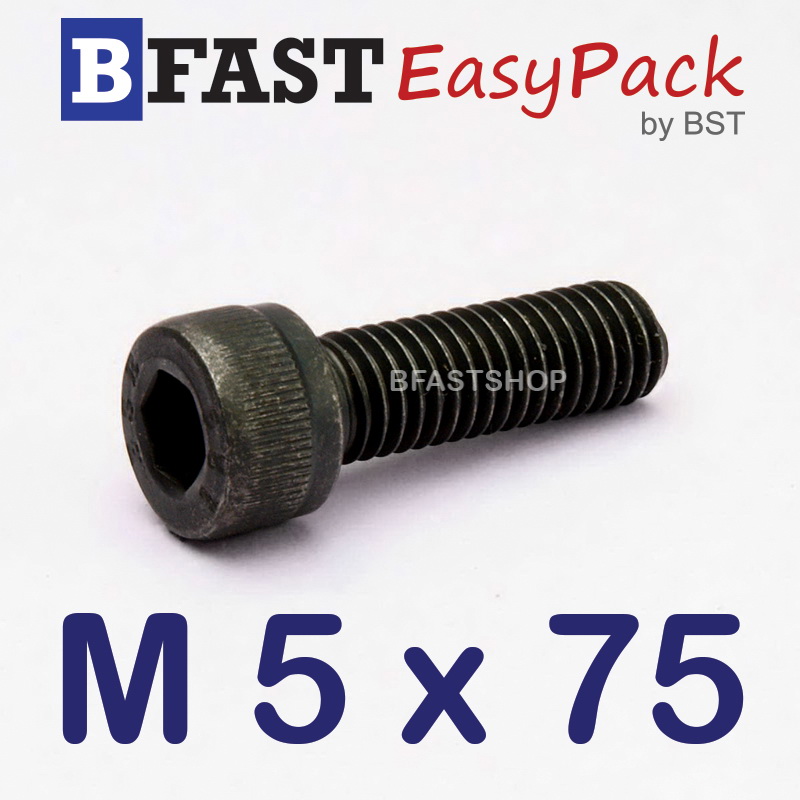 สกรูหัวจมดำ M 5 x 75 (4 ตัว/ถุง) *เกลียวครึ่ง*