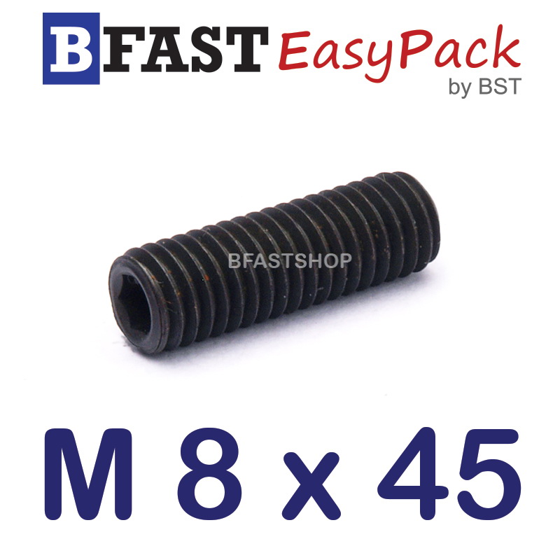 สกรูตัวหนอนดำ M 8 x 45 (6 ตัว/ถุง)