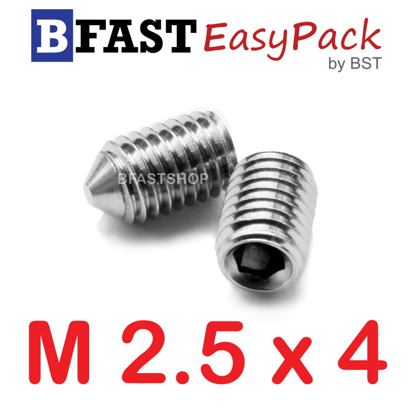 สกรูตัวหนอนปลายแหลมสแตนเลส SUS M2.5 x 4 (2 ตัว/ถุง)