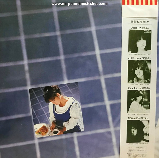 Akina Nakamori - Best Album Memories