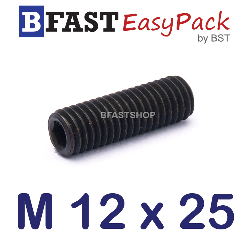 สกรูตัวหนอนดำ M 12 x 25 (2 ตัว/ถุง)
