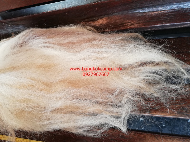 แส้ขนจามรีแท้ ด้ามหนัง​ ใหม่เก่าเก็บ ไม่ผ่านการใช้ (3) ขนสีขาว หายาก