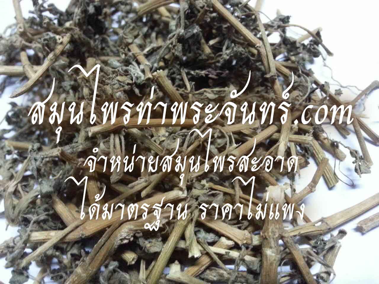 โคกกระสุน