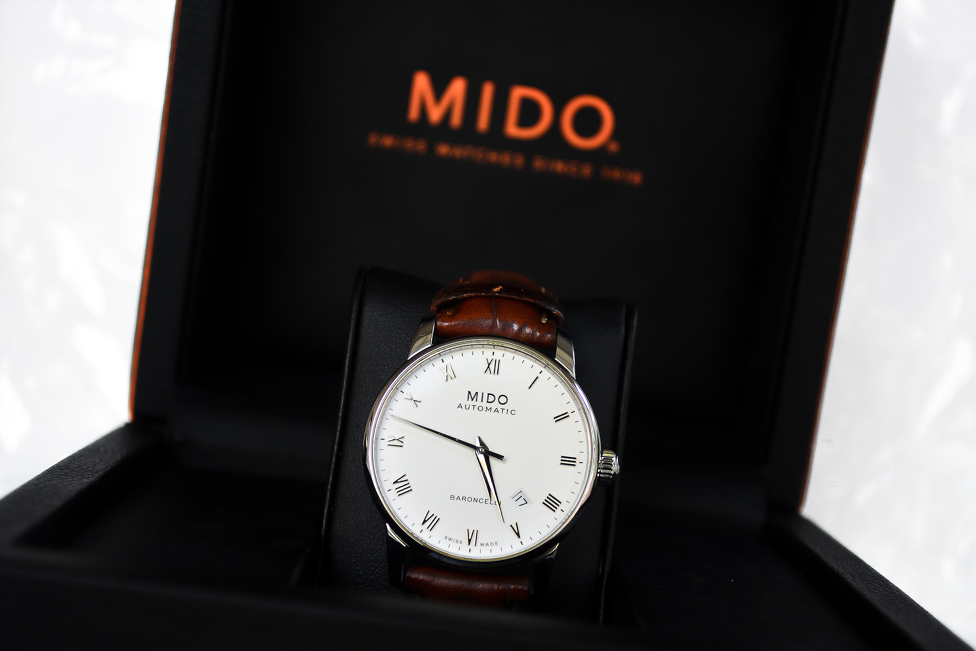 Mido Baroncelli หน้าขาว โรมัน สายหนัง (Sold)
