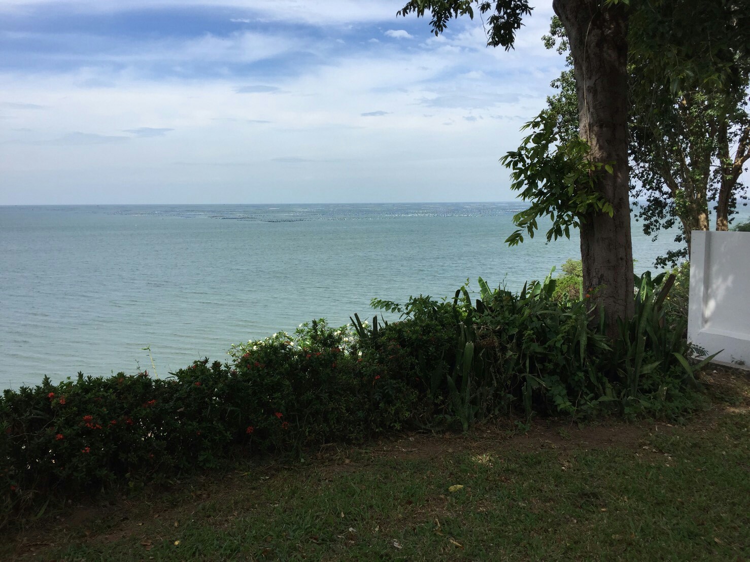 รหัสทรัพย์ 85855 ให้เช่าบ้านเดี่ยวติดทะเล ศรีราชา จ.ชลบุรี 3 ห้องนอน 2 ห้องน้ำ พื้นที่ 1 ไร่ ค่า 45,000 บาทต่อเดือน สัญญาเช่า 1 ปีขึ้นไป เดินทางตั้งต้นจากห้างโรบินสัน