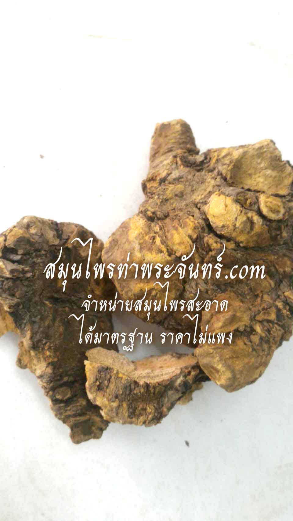 โกฐน้ำเต้าแห้ง