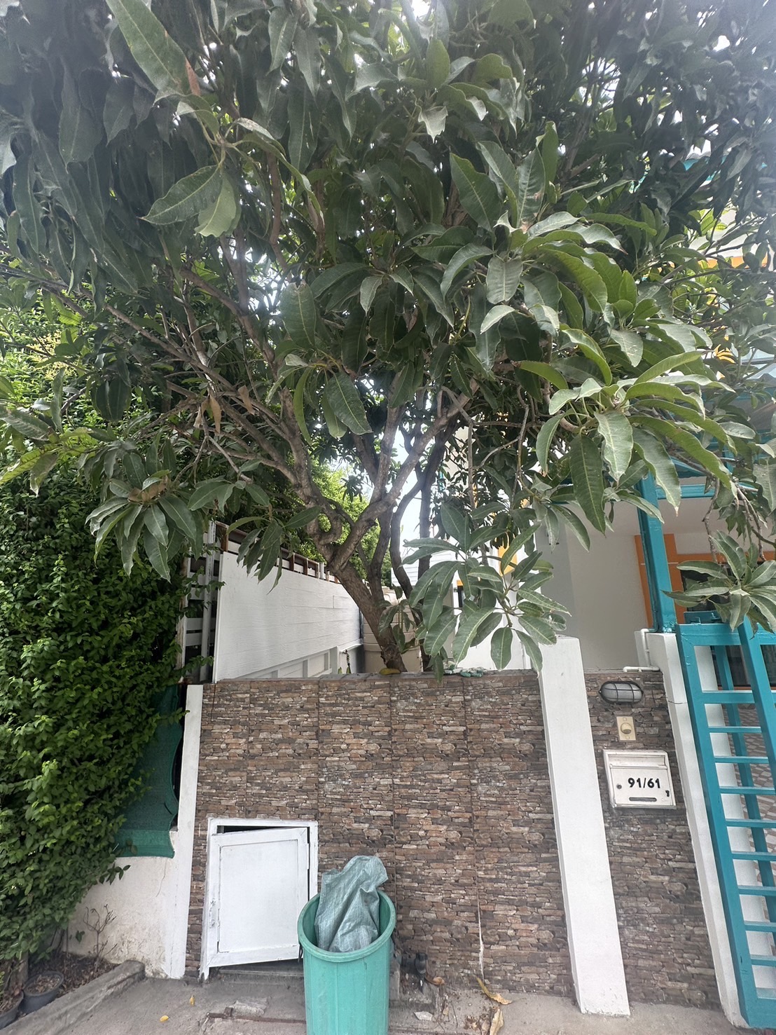 ขายบ้านเดี่ยวรีโนเวทใหม่ทั้งหลัง Baan Fah Piyarom Nesto - บ้านฟ้าปิยรมย์ เนสโต้ ลำลูกกา คลอง 6