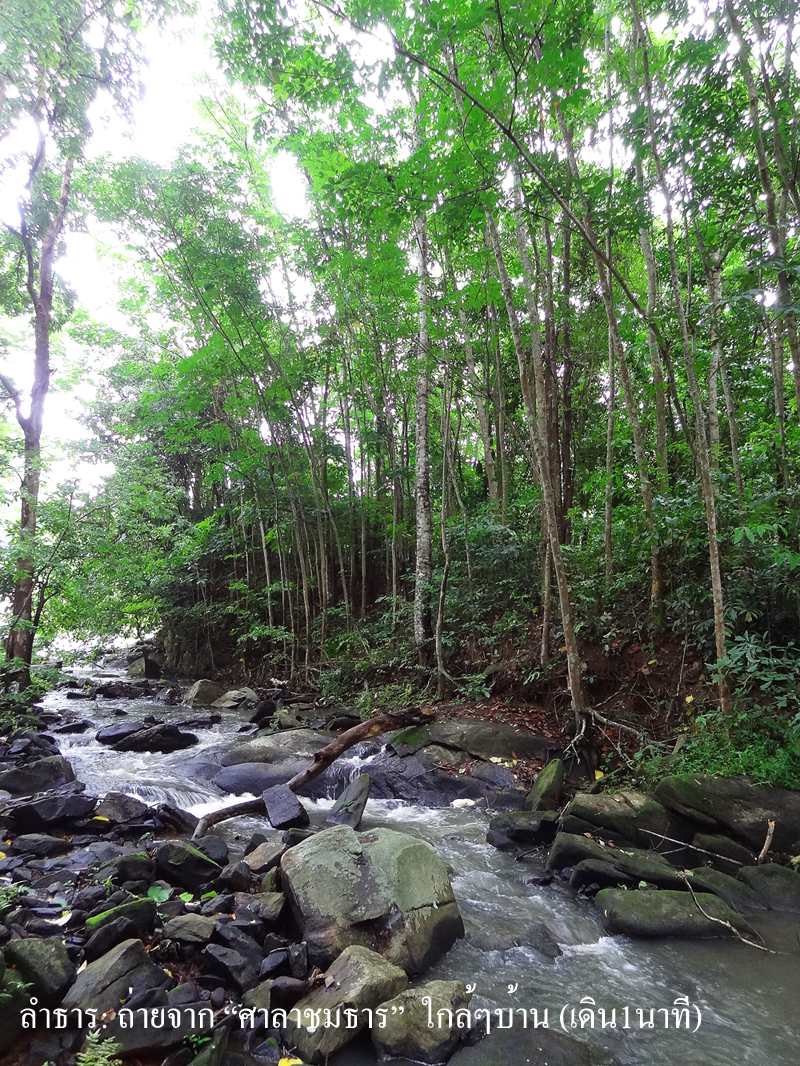 ขาย / ให้เช่า Brookside Valley 6000/ ต่อคืน ขาย 4.6 ล้าน บ้านเดี่ยว 2 ชั้น เนื้อที่ 220 ตรว. 2 ห้องนอน 2 ห้องน้ำ