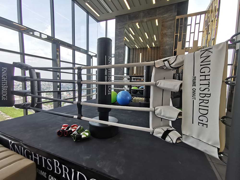 ให้เช่าคอนโด Knightsbridge Prime Onnut (คอนโด ไนท์บริดจ์ ไพร์ม อ่อนนุช ) 1 ห้องนอน 1 ห้องน้ำ