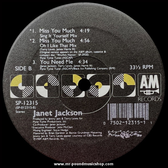 Janet Jackson - Miss You Much