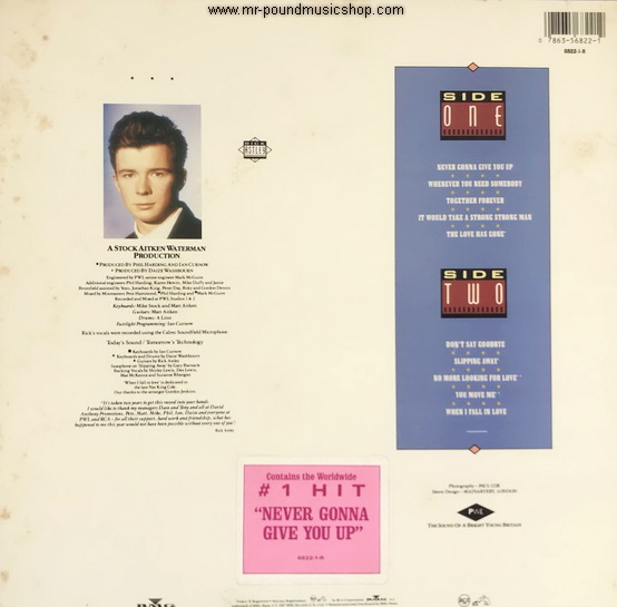 Rick Astley - Whenever You Need Somebody