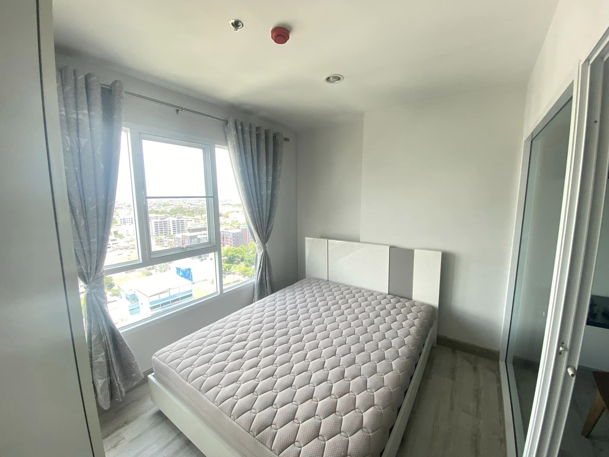 ให้เช่าคอนโด Regent Orchid Sukhumvit 101 : รีเจ้นท์ ออคิด สุขุมวิท 101 ใกล้ BTS ปุณณวิถี 250 m