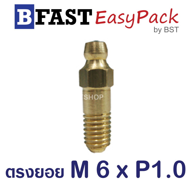 หัวอัดจารบี ตรงยอย M6 x P1.0 (5 ตัว/ถุง)