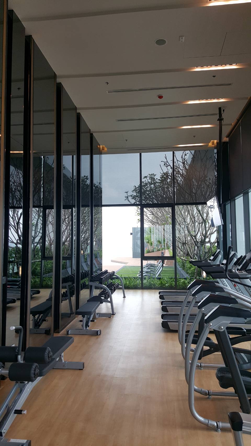 🌟 ให้เช่า / ขายคอนโด Life Sukhumvit 48 (ไลฟ์ สุขุมวิท 48) 1 ห้องนอน 1 ห้องน้ำ