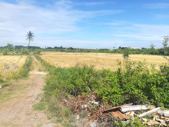 ขายที่ดินบางบัวทอง 13 ไร่ 42 ตรว. และ 3 งาน 60 ตรว. (ขายรวม) ทำเลสวยแหล่งชุมชน