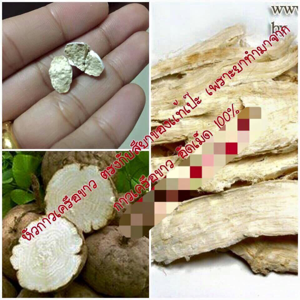 ยานมคลินิค ของแท้ เม็ด5บาท (แพ็ค20เม็ด)