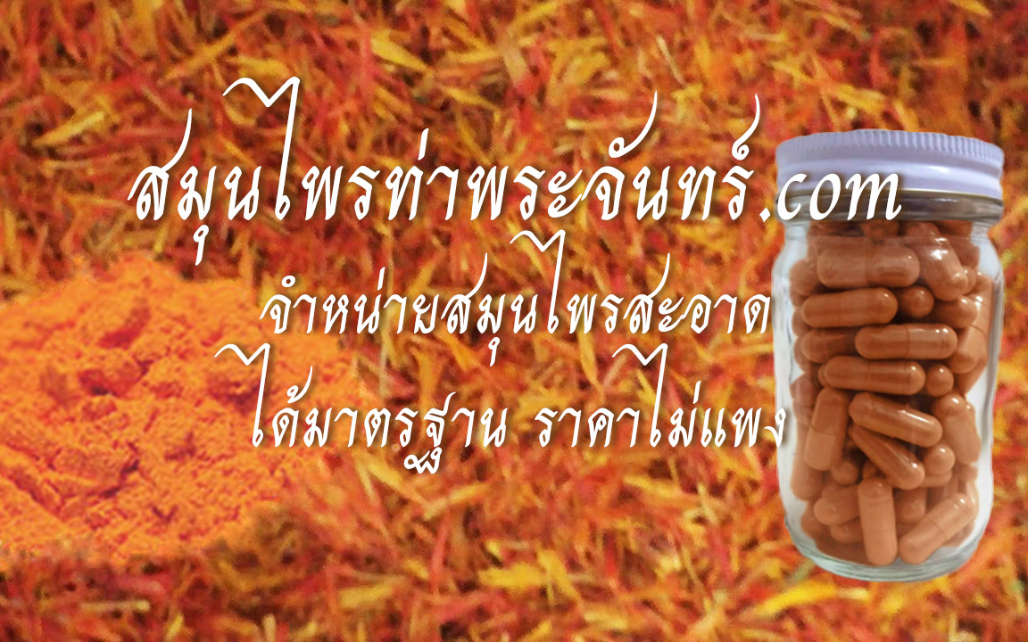 สมุนไพรดอกคำฝอย