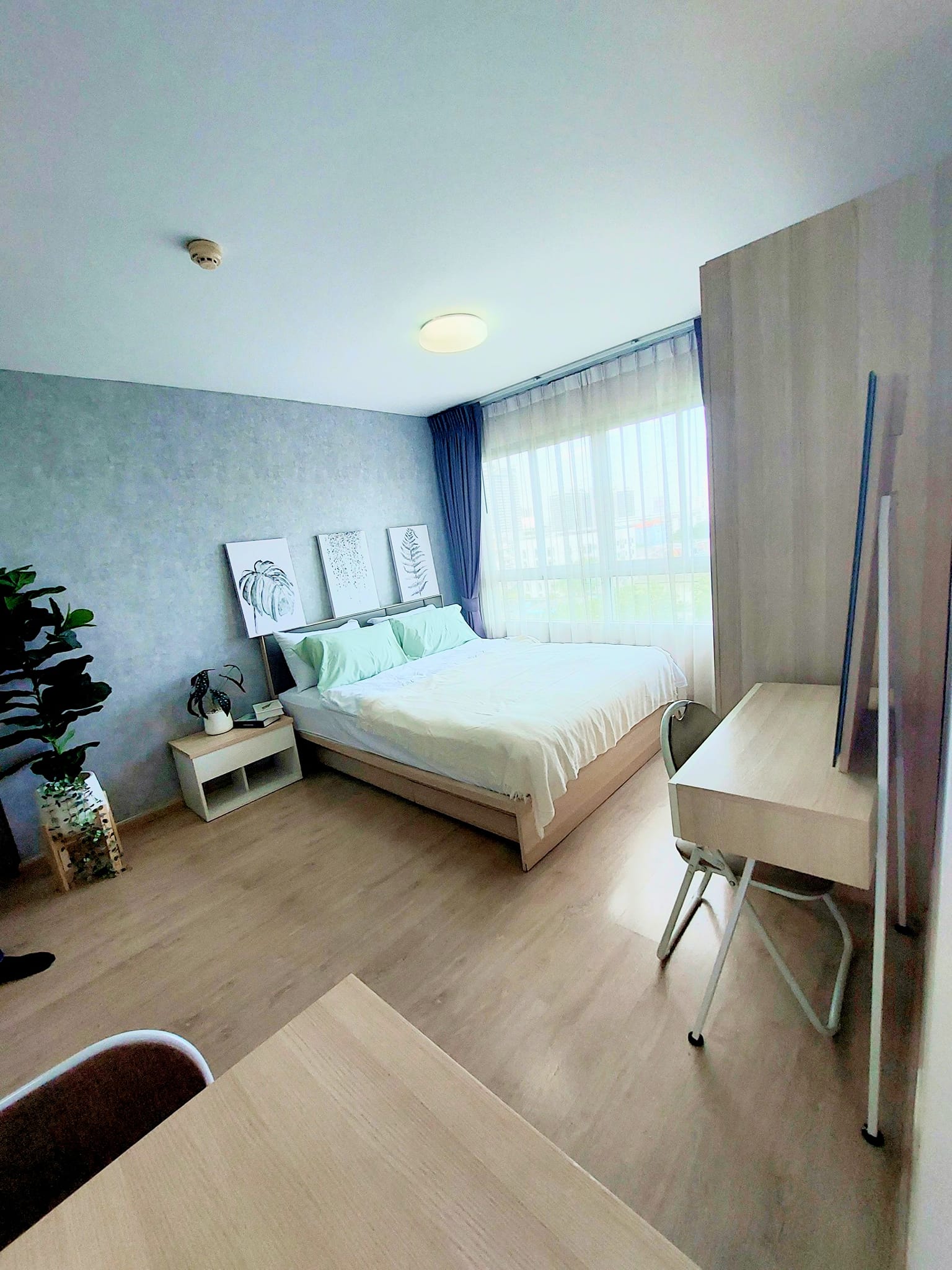 ให้เช่าคอนโด ELIO DEL RAY Sukhumvit 64 เอลลิโอ เดล เรย์ สุขุมวิท 64 คอนโดสไต์รีสอร์ท 1 ห้องนอน 1 ห้องครัว (แยกครัวชัดเจน)