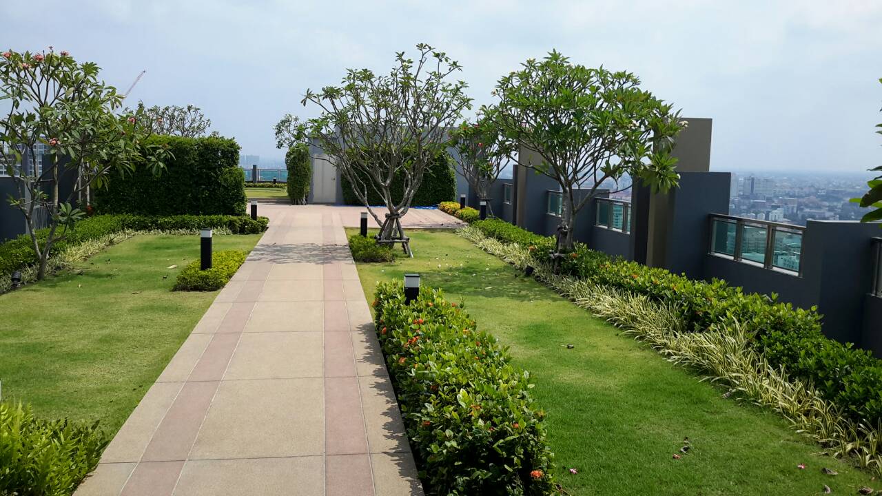 Q.House Condo Sukhumvit 79 1 ห้องนอน พื้นที่ 30 ตร.ม ชั้น 27 ให้เช่า 19000 ต่อเดือน คอนโดริม ถ. สุขุมวิท ตรงข้ามโลตัสอ่อนนุชปาก ซอย79 ห่าง 100ม. จาก BTS อ่อน