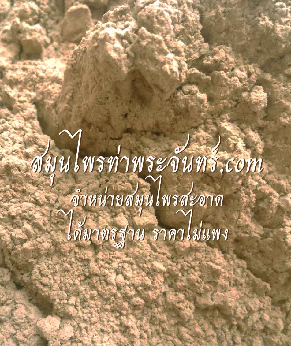 ผงกำลังช้างสาร