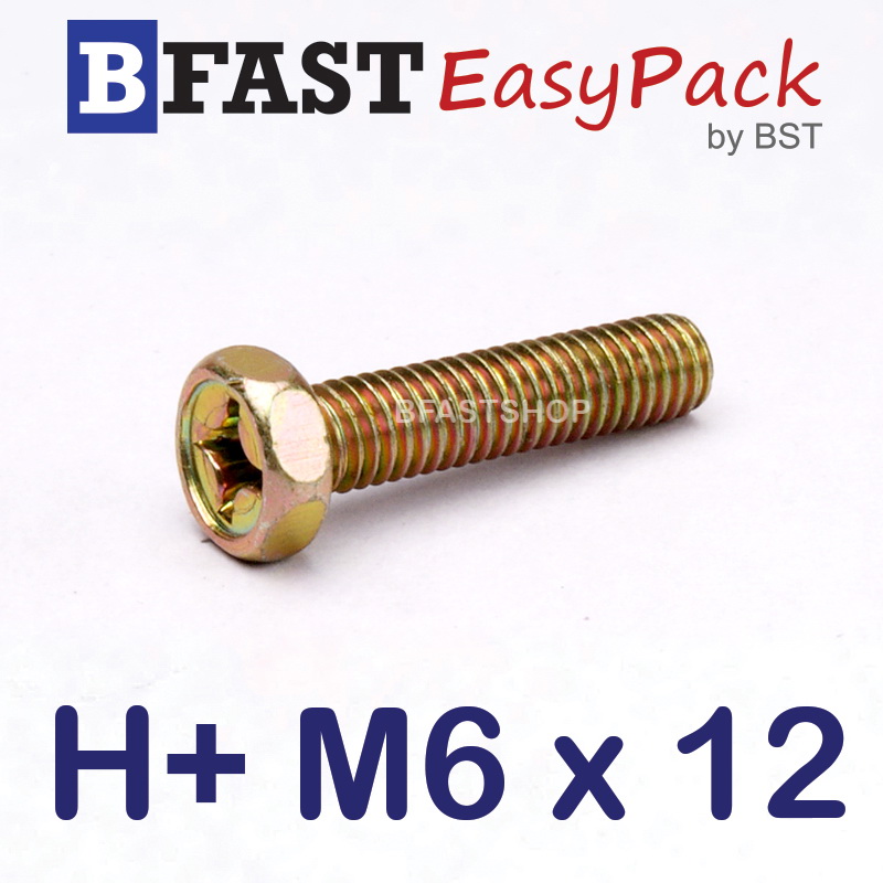 สกรูหัวเหลี่ยมแฉก H+ M6 x 12 (สกรู IND) (12 ตัว/ถุง)