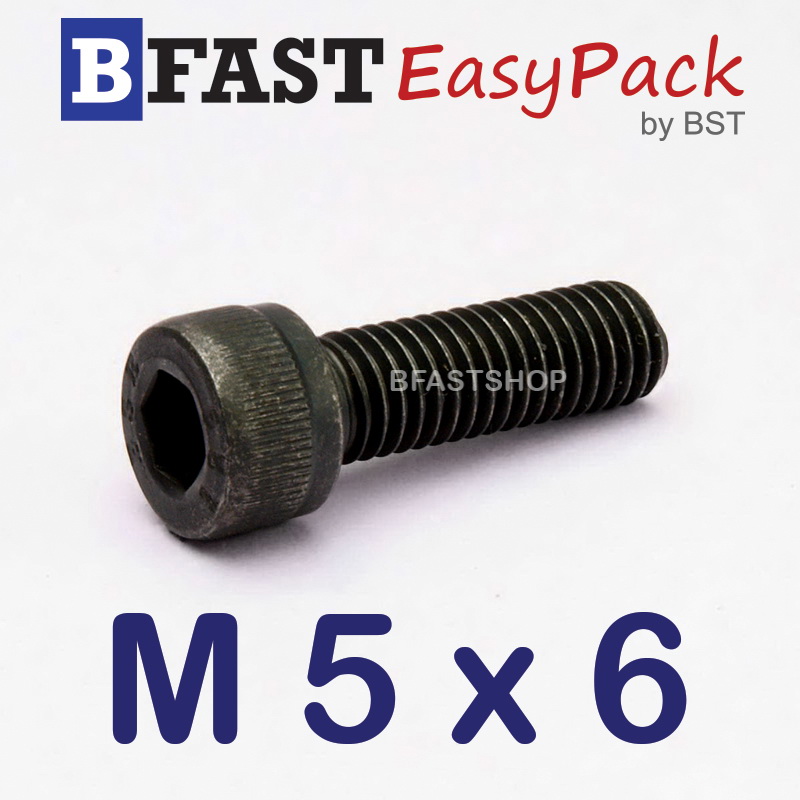สกรูหัวจมดำ M 5 x 6 (15 ตัว/ถุง) *เกลียวตลอด*