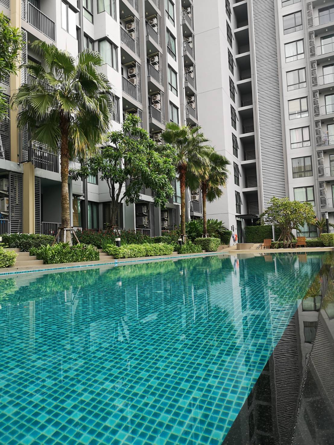 ให้เช่าคอนโด Q. House Condo Sukhumvit 79 (คิว. เฮ้าส์ คอนโด สุขุมวิท 79 1 ห้องนอน 1 ห้องน้ำ ขนาด 31 ตรม. ชั้น 25 วิวไม่บล็อก