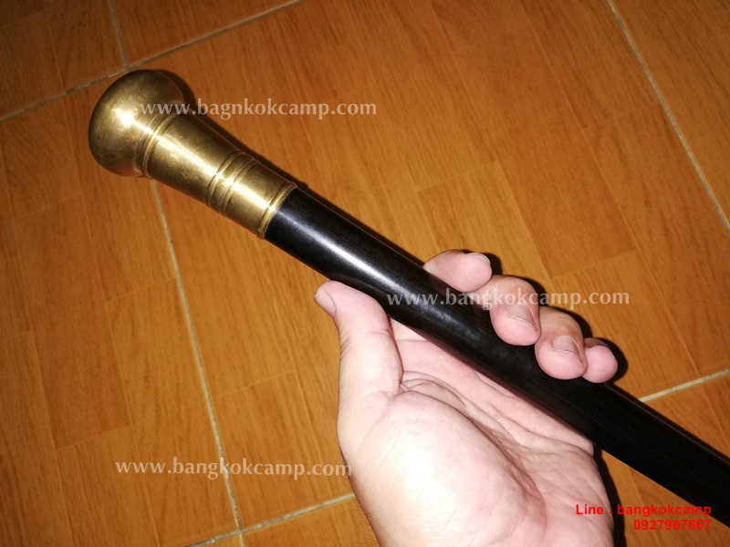 ไม้มงคลหายาก... ไม้ตะพด(ไม้งิ้วดำ) หัวทองเหลือง