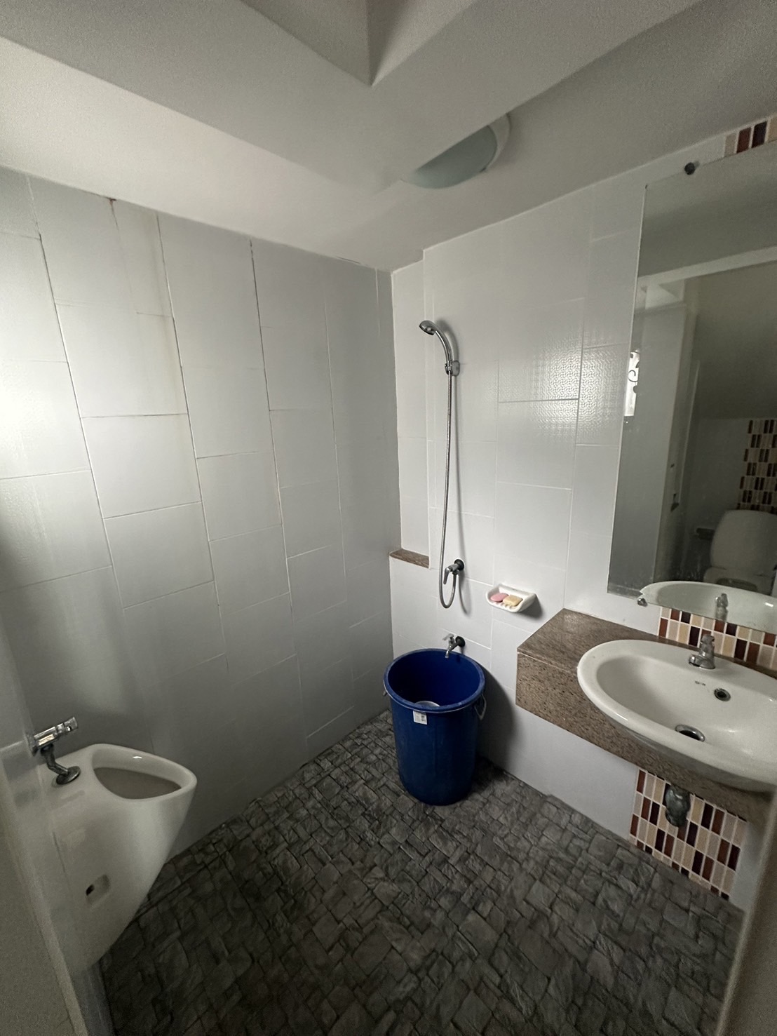 ขายบ้านเดี่ยวรีโนเวทใหม่ทั้งหลัง Baan Fah Piyarom Nesto - บ้านฟ้าปิยรมย์ เนสโต้ ลำลูกกา คลอง 6