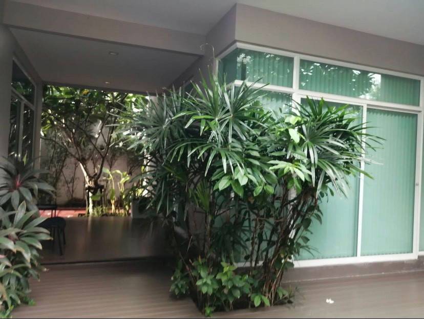 ให้เช่าบ้านเดี่ยวแต่งหรู ต้นโครงการ หมู่บ้านคาซ่าพรีเมี่ยม วงแหวน อ่อนนุช บางนา กม. 7