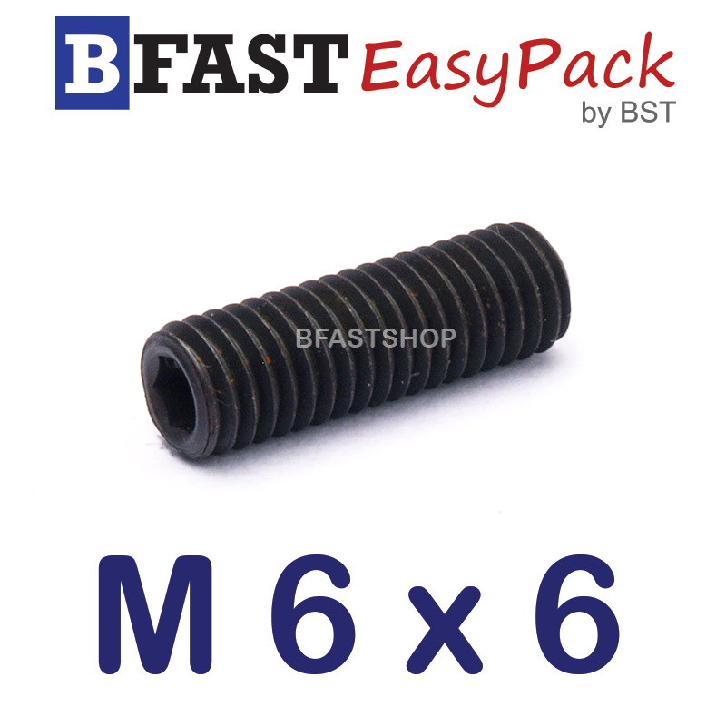 สกรูตัวหนอนดำ M 6 x 6 (20 ตัว/ถุง)