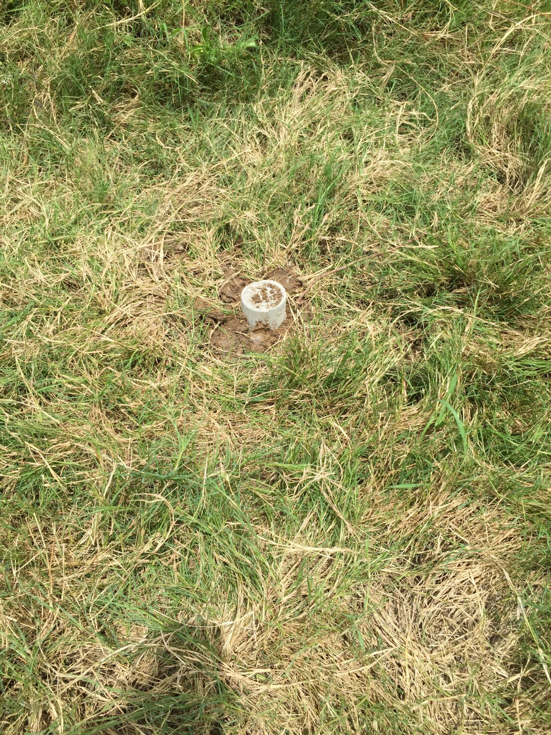 รหัสทรัพย์ 87582 ขายที่ดิน 2 แปลงจังหวัดนครปฐม 2 แปลงติดกัน