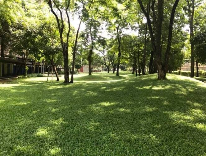 ให้เช่าคอนโด The Line Phahonyothin Park : เดอะ ไลน์ พหลโยธิน พาร์ค 1 ห้องนอน ขนาด 44 ตารางเมตร