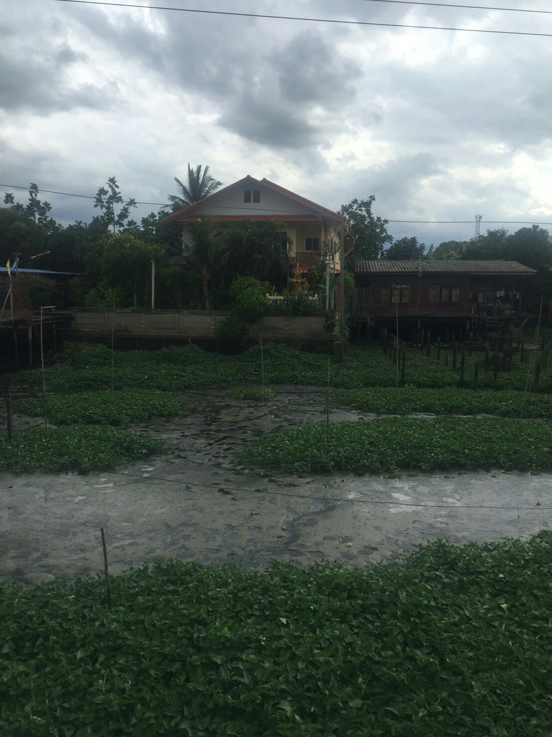 ขายที่ดินติดแม่น้ำเจ้าพระยา เนื้อที่ 4 ไร่ ส่วนเกินที่เป็นกรรมสิทธ์ที่ยื่นในน้ำ 2 ไร่ หน้ากว้างด้านแม่น้ำ 40 เมตร ลึก 150 เมตร