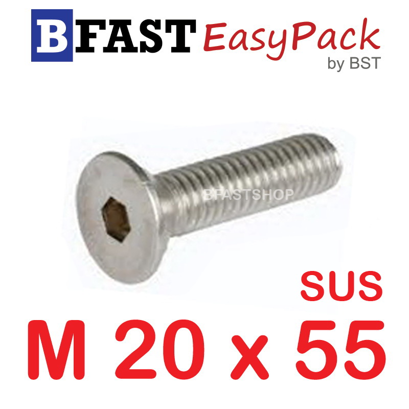 สกรูหัวจมเตเปอร์สแตนเลส SUS M20 x 55 (1 ตัว/ถุง)
