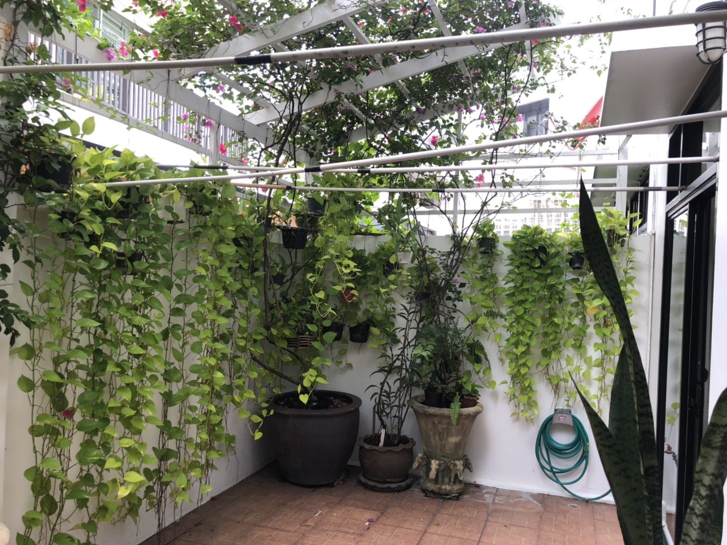 ขาย / เช่าบ้านทาวน์เฮ้าส์ ที่หมู่บ้านโฮมเพลส สุขุมวิท71 Moo Baan Home Place 4 ชั้น 4 ห้องนอน 4 ห้องน้ำ