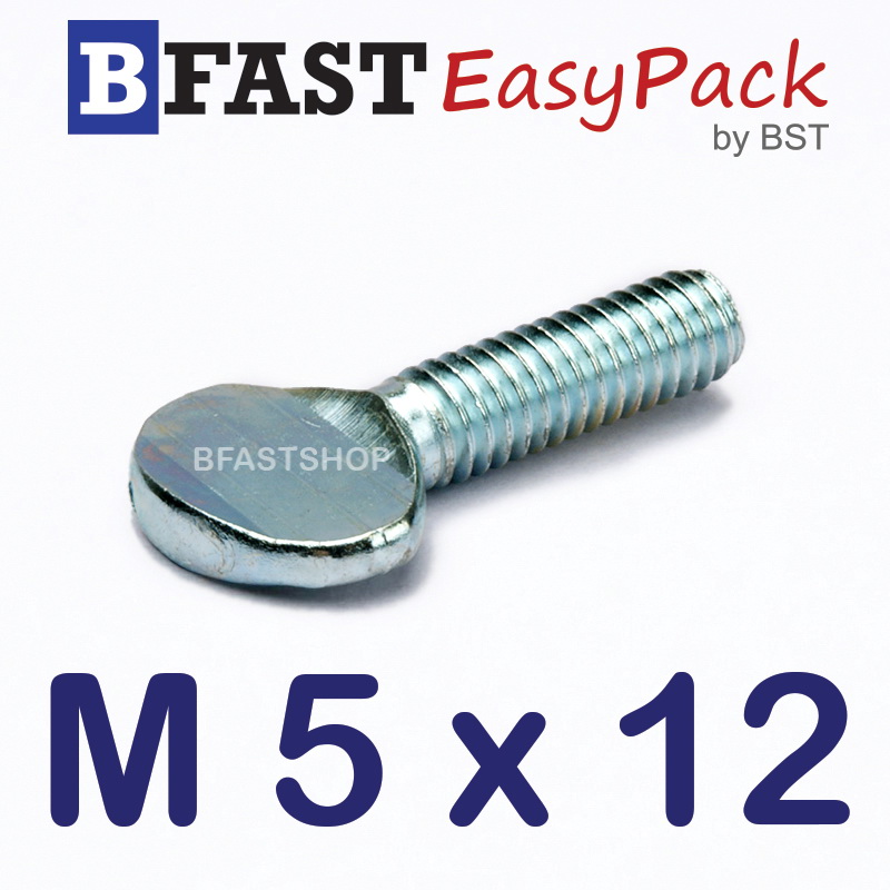 สกรูหางปลาแบน M5 x 12 (10 ตัว/ถุง)