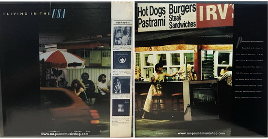 Linda Ronstadt - Living In The USA