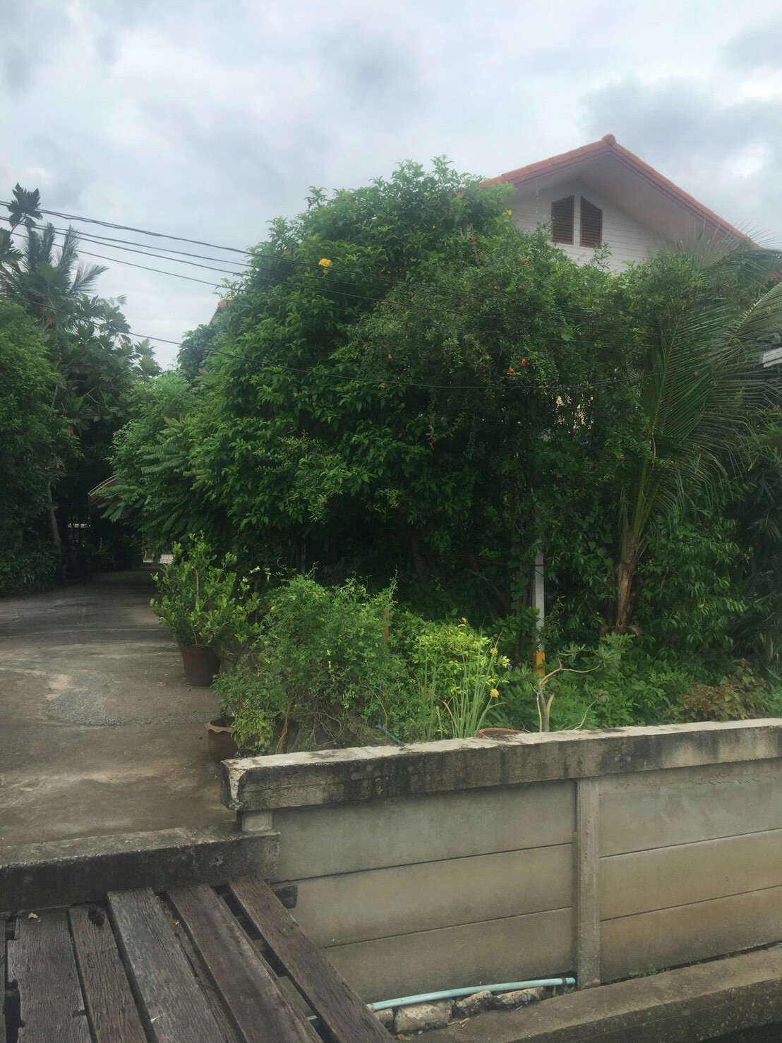 ขายที่ดินติดแม่น้ำเจ้าพระยา เนื้อที่ 4 ไร่ ส่วนเกินที่เป็นกรรมสิทธ์ที่ยื่นในน้ำ 2 ไร่ หน้ากว้างด้านแม่น้ำ 40 เมตร ลึก 150 เมตร