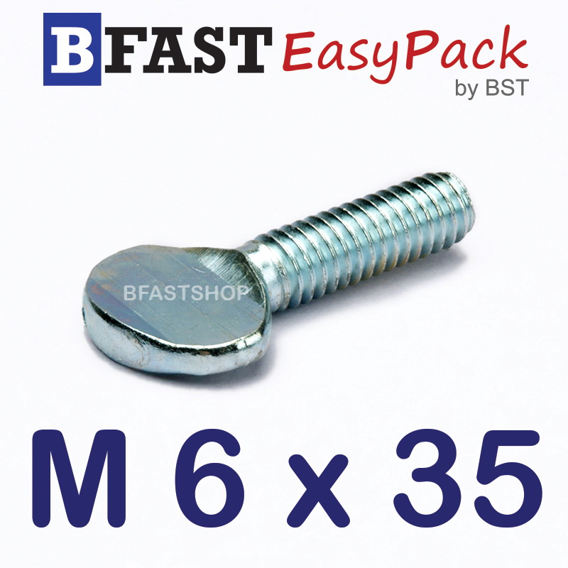 สกรูหางปลาแบน M6 x 35 (5 ตัว/ถุง)