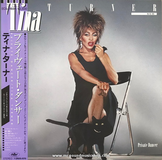 Tina Turner - Private Dancer