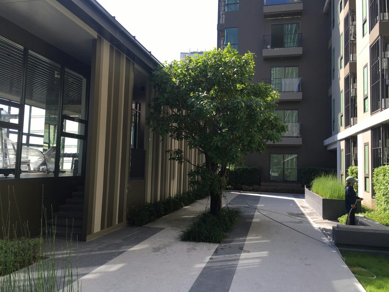 ให้เช่าห้องคอนโด Centric Ratchada-Suthisan 1 ห้องนอน ชั้น 5 หัวมุม ติดสระว่ายน้ำ